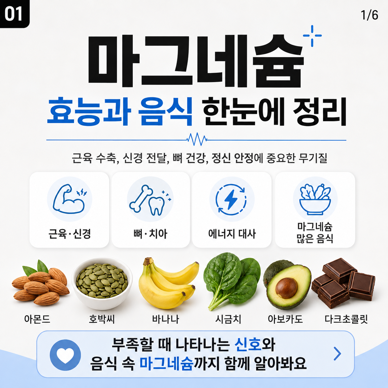 마그네슘 효능부터 많은 음식, 부족 신호까지 한눈에 정리