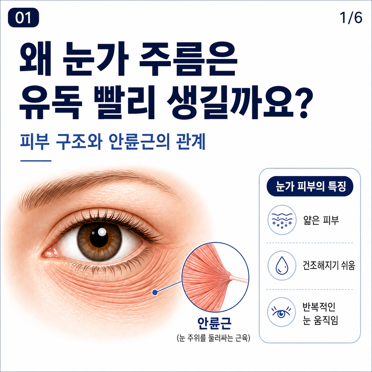 왜 눈가 주름은 빨리 생길까? 눈가 피부 구조부터 관리법까지